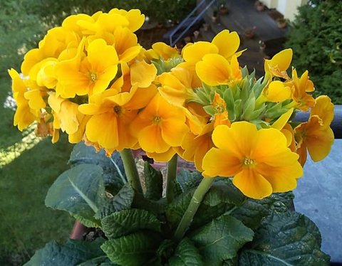 5-90618455_2894832067248966_3865896107464720384_n